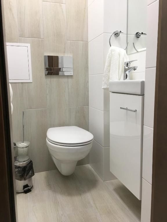 Апартаменты Apartament Nina Шклярска-Поремба-17